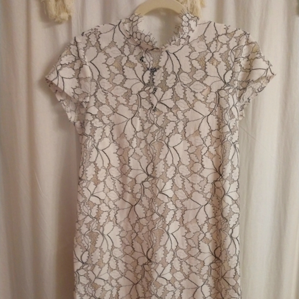 Lace overlay dress with black detail